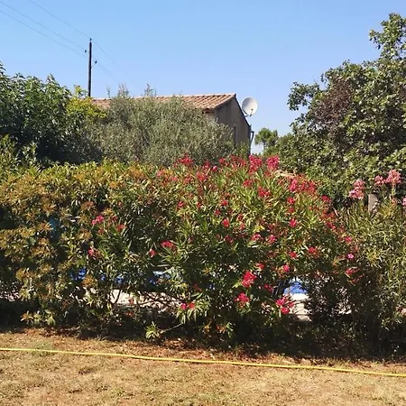Villa Les Oliviers